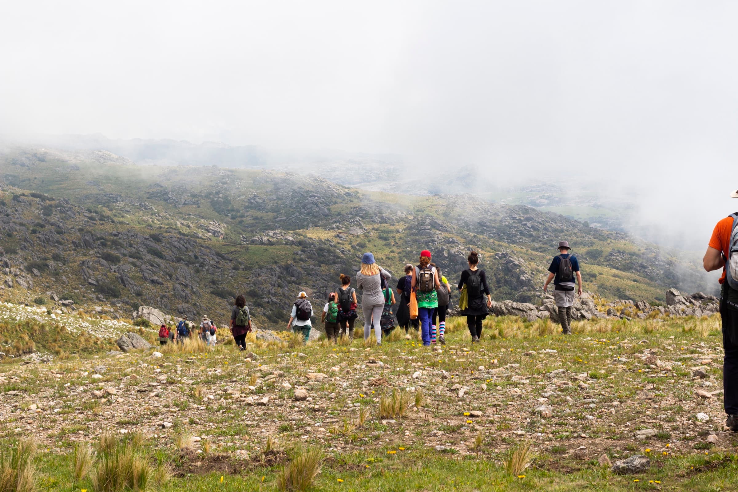 Voluntarios caminando en grupo por la sierra hacia una jornada de plantación