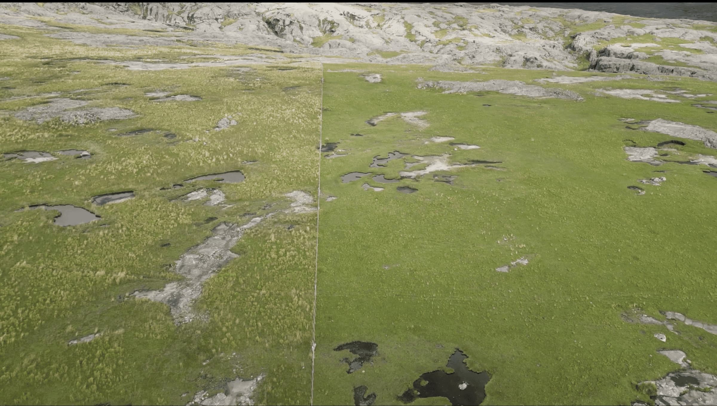 Vista aérea de pastizal de altura en proceso de restauración